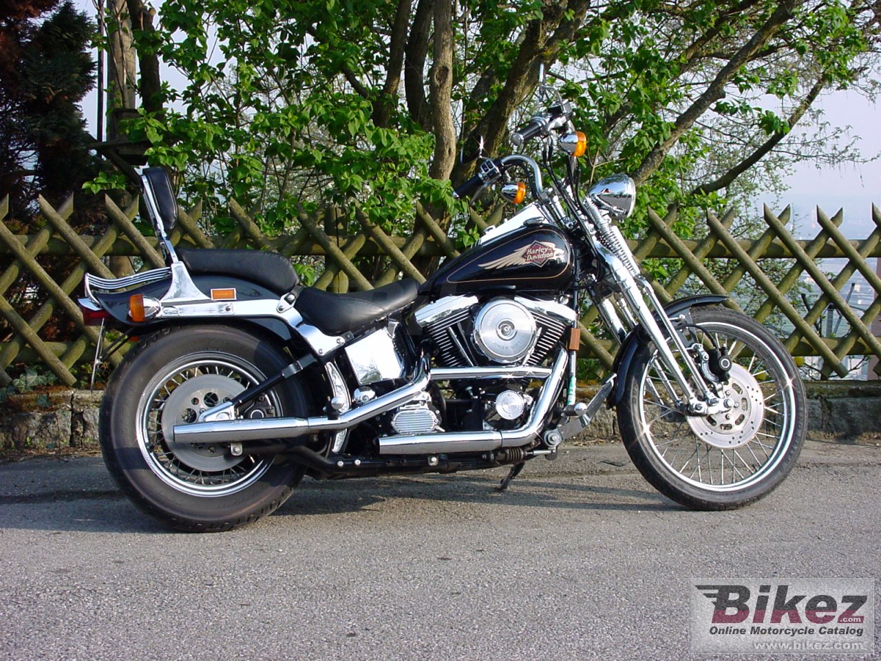 Big stria springer softail picture and wallpaper from Bikez.com